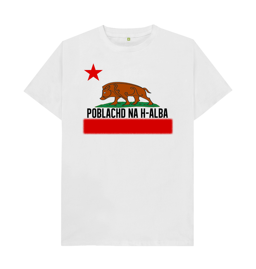 california t shirt h