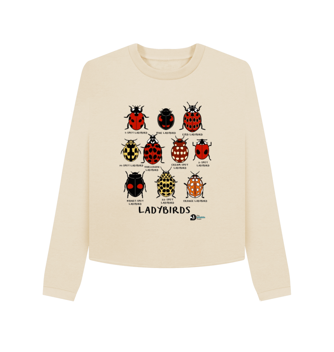 Ladybird jumper shop