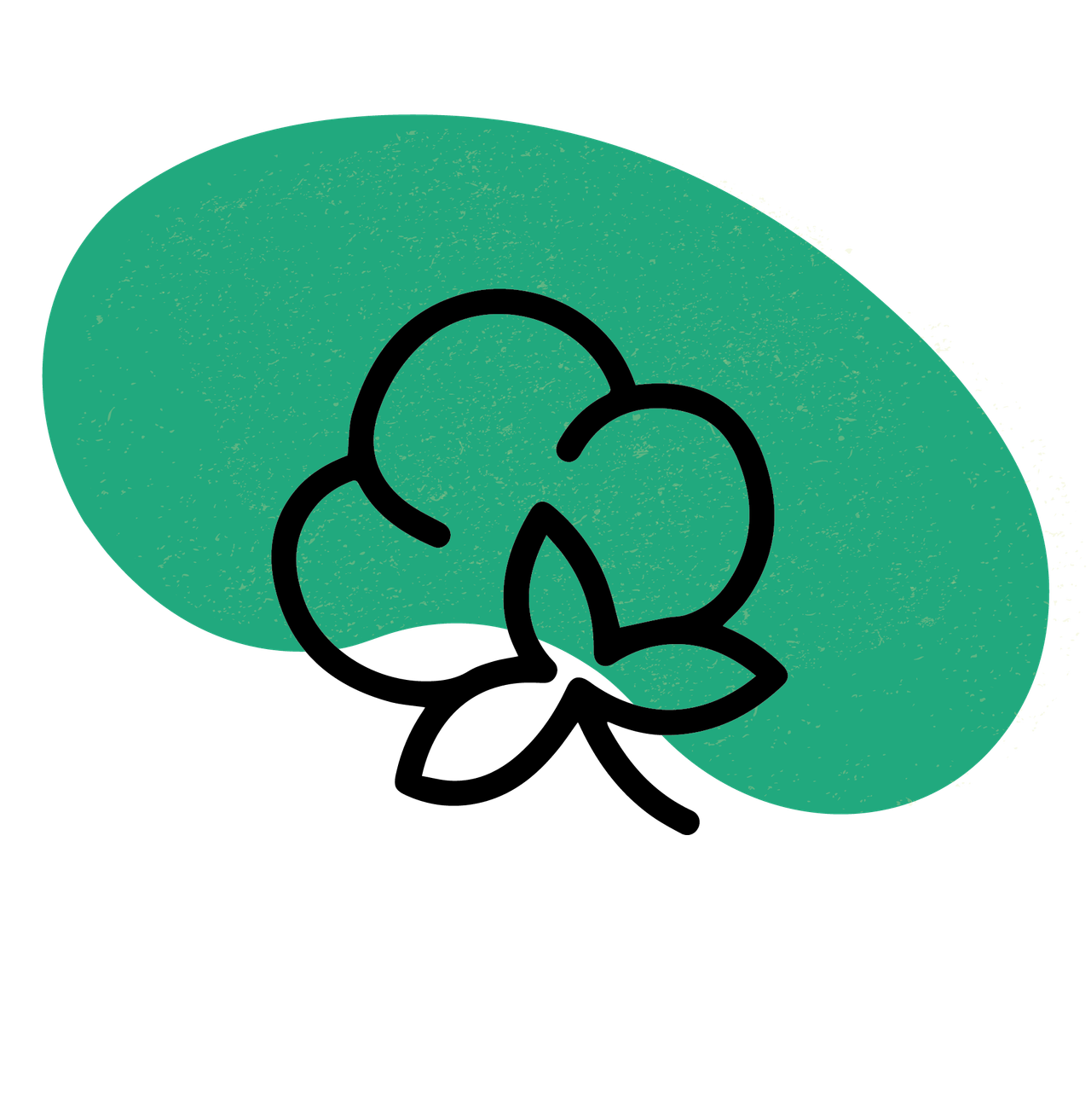 Three Bean Salad Shop