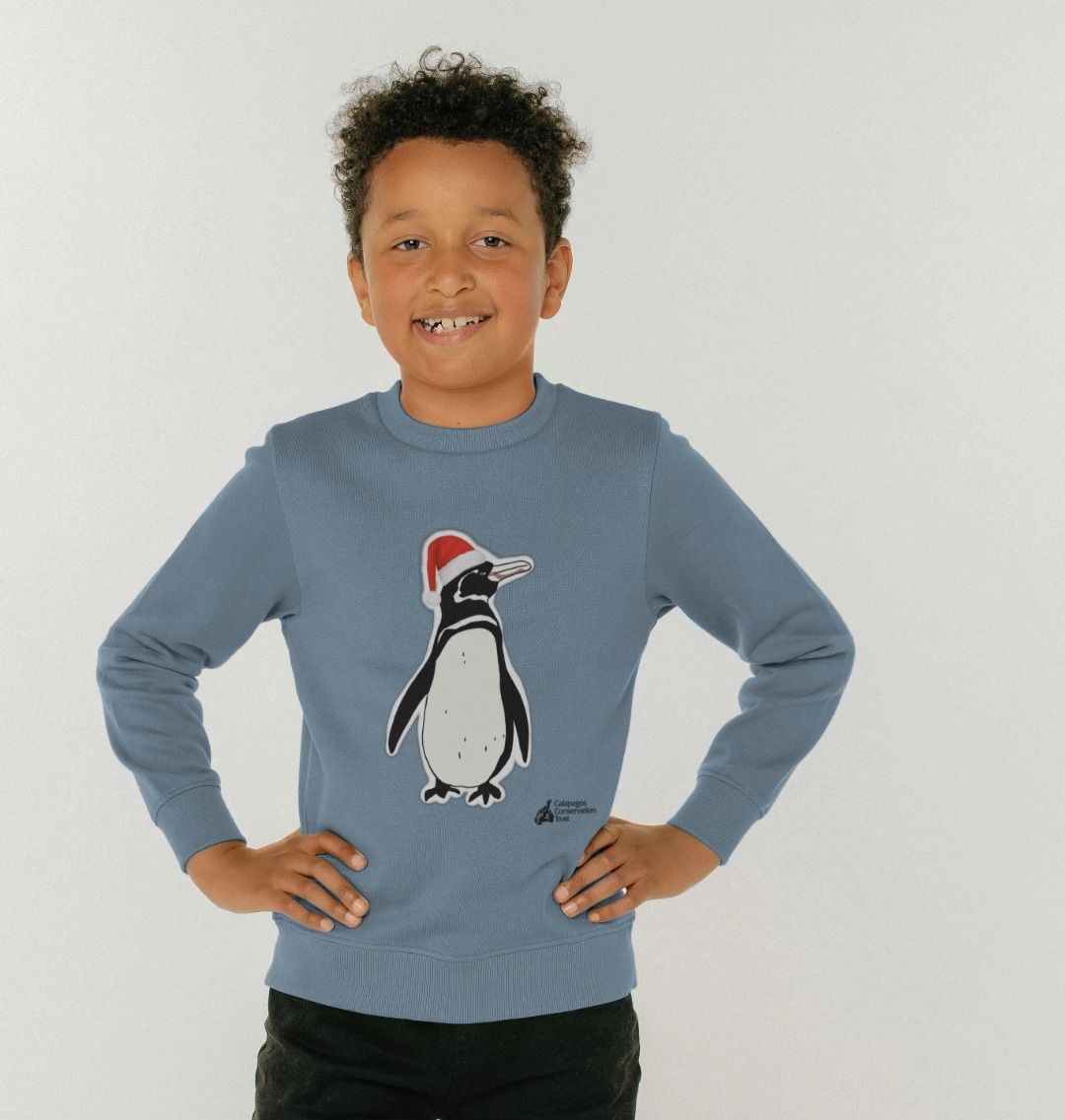 Penguin 2025 jumper kids