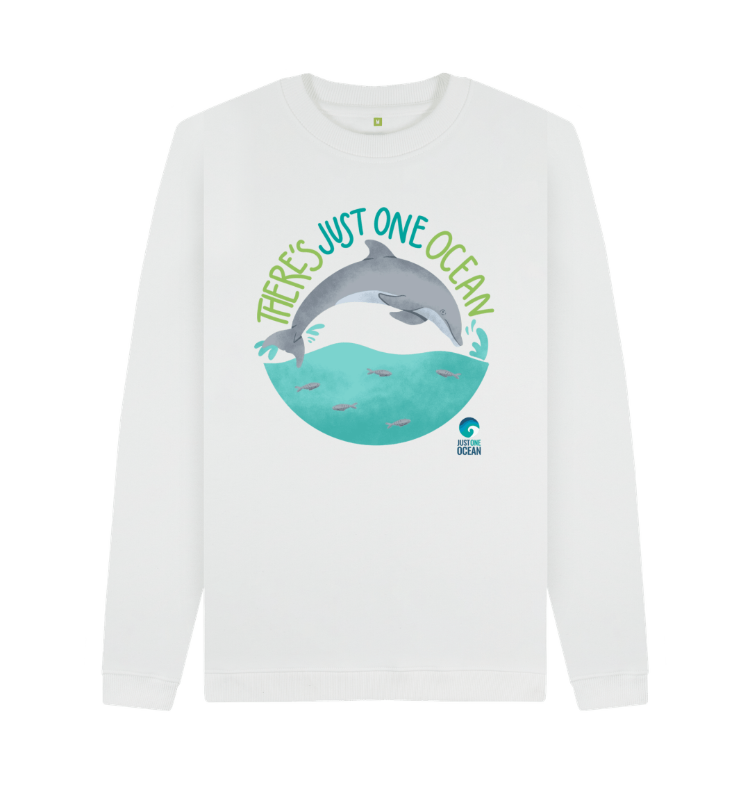 Dolphin sweater shops