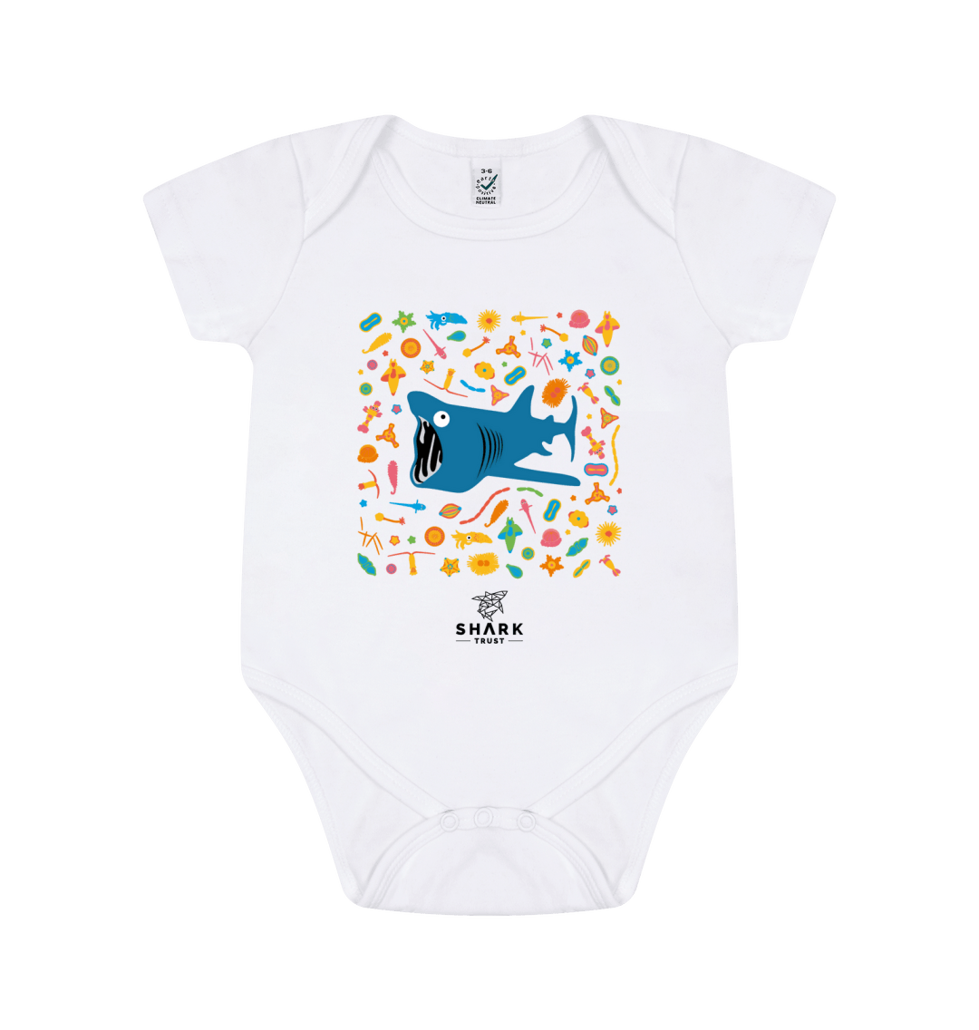 Baby store shark babygrow