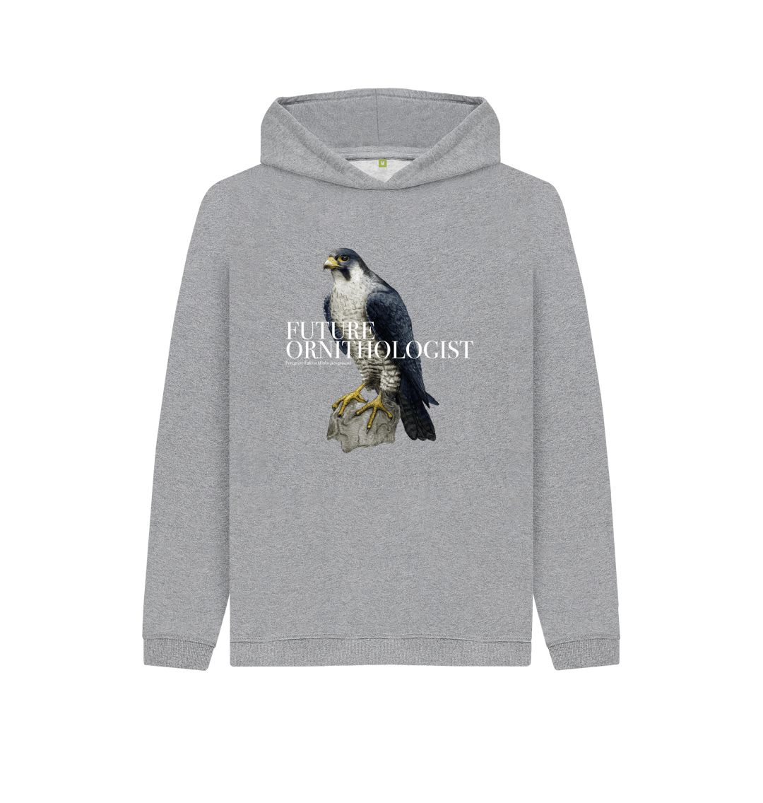 Falcon sweater 2024