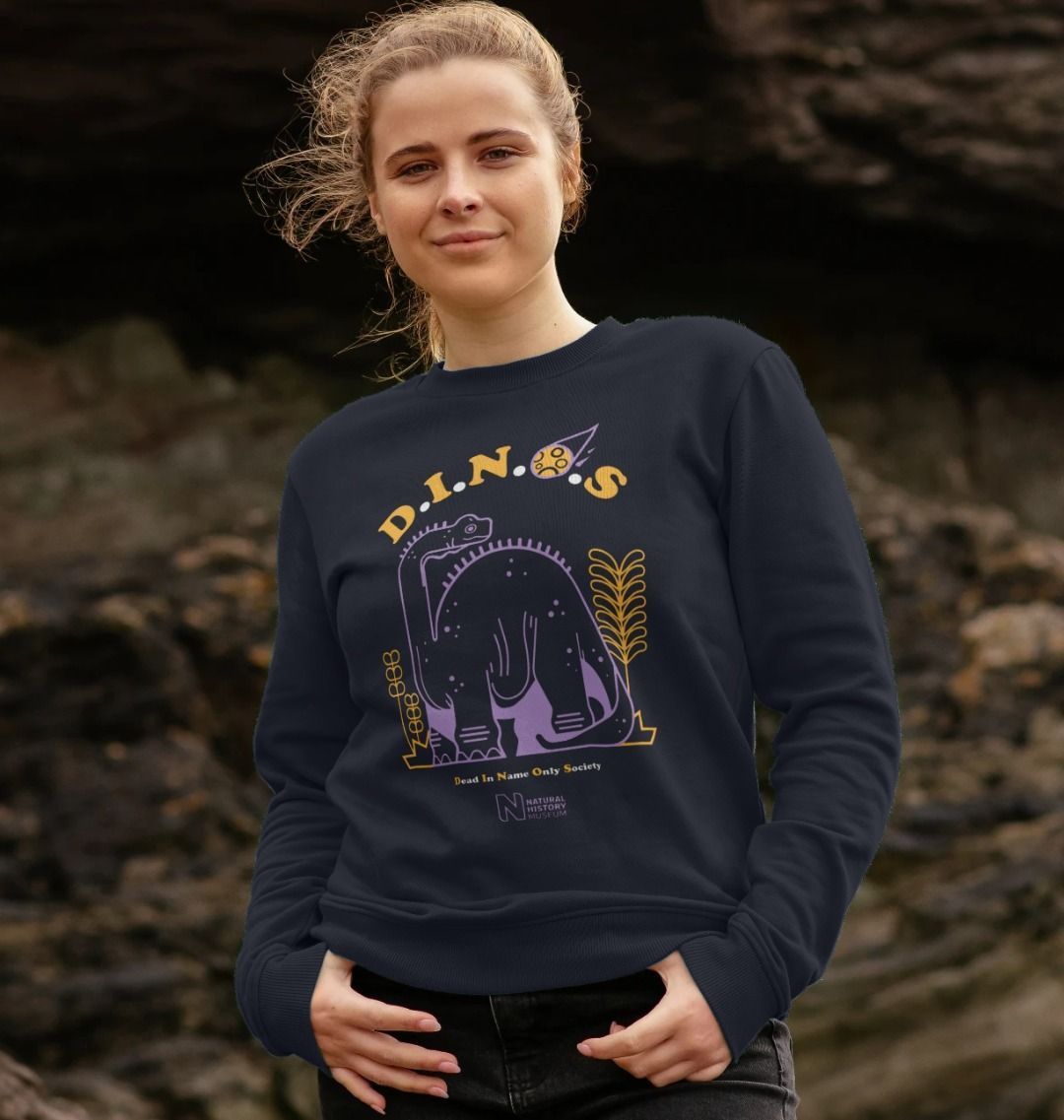 Ladies hotsell dinosaur sweatshirt