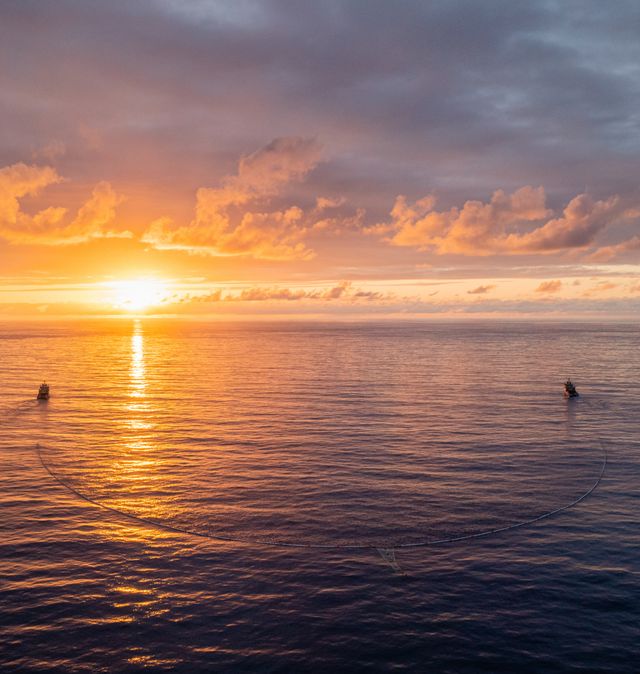 Kingston Jigsaw Puzzle