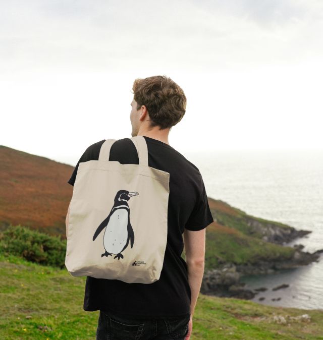 Penguin canvas online bag