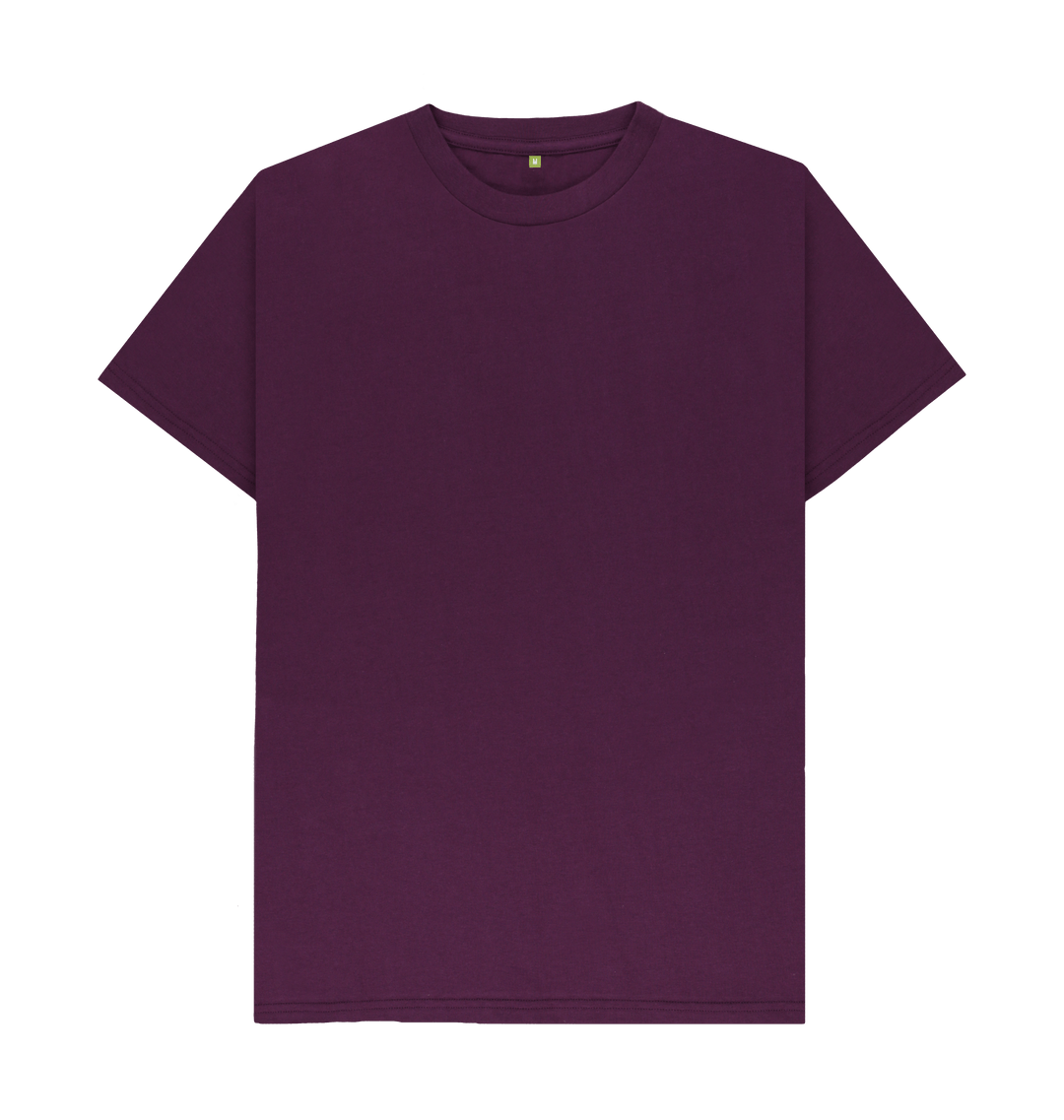 Basics - Men's Ethical T-shirt 