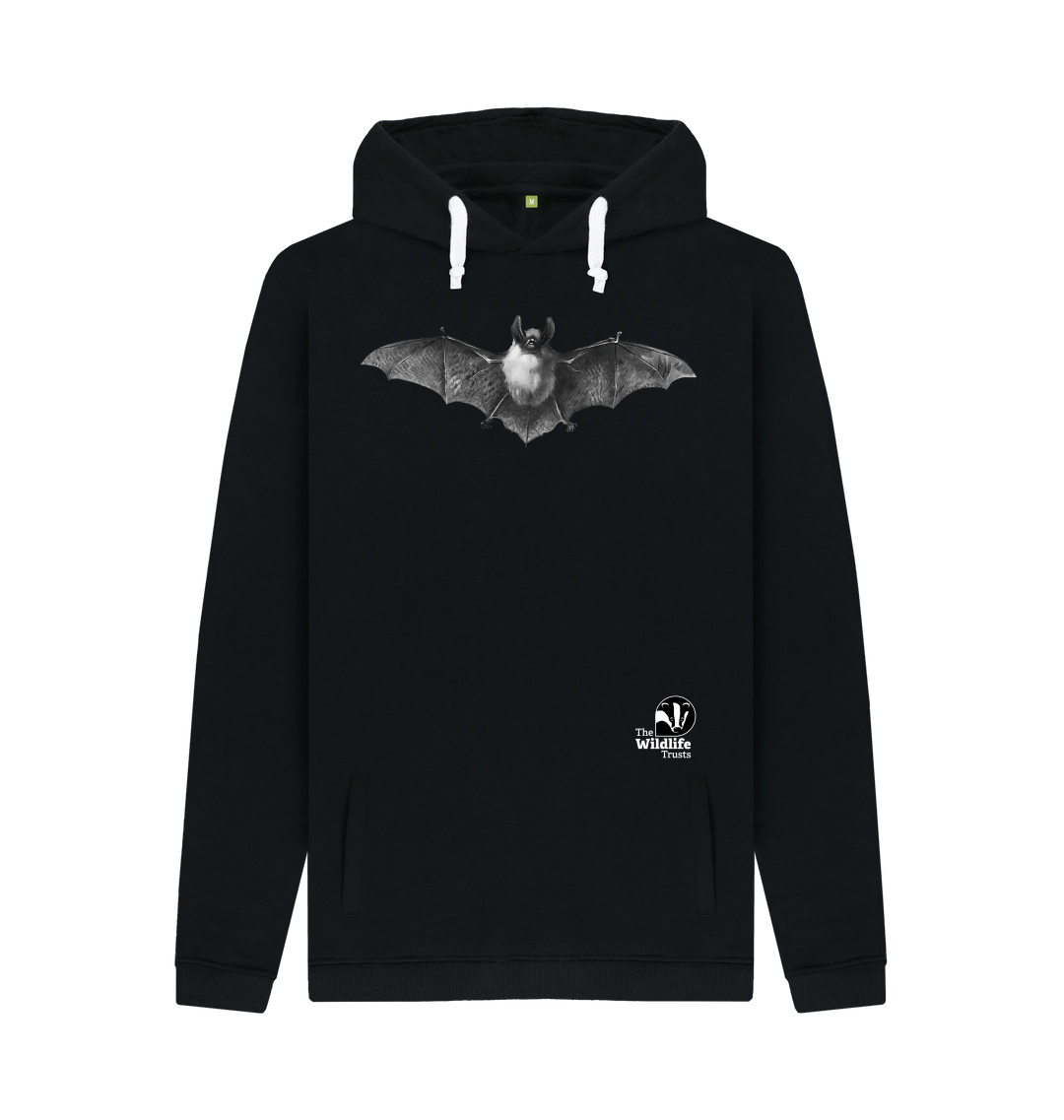 Bats  The Wildlife Trusts