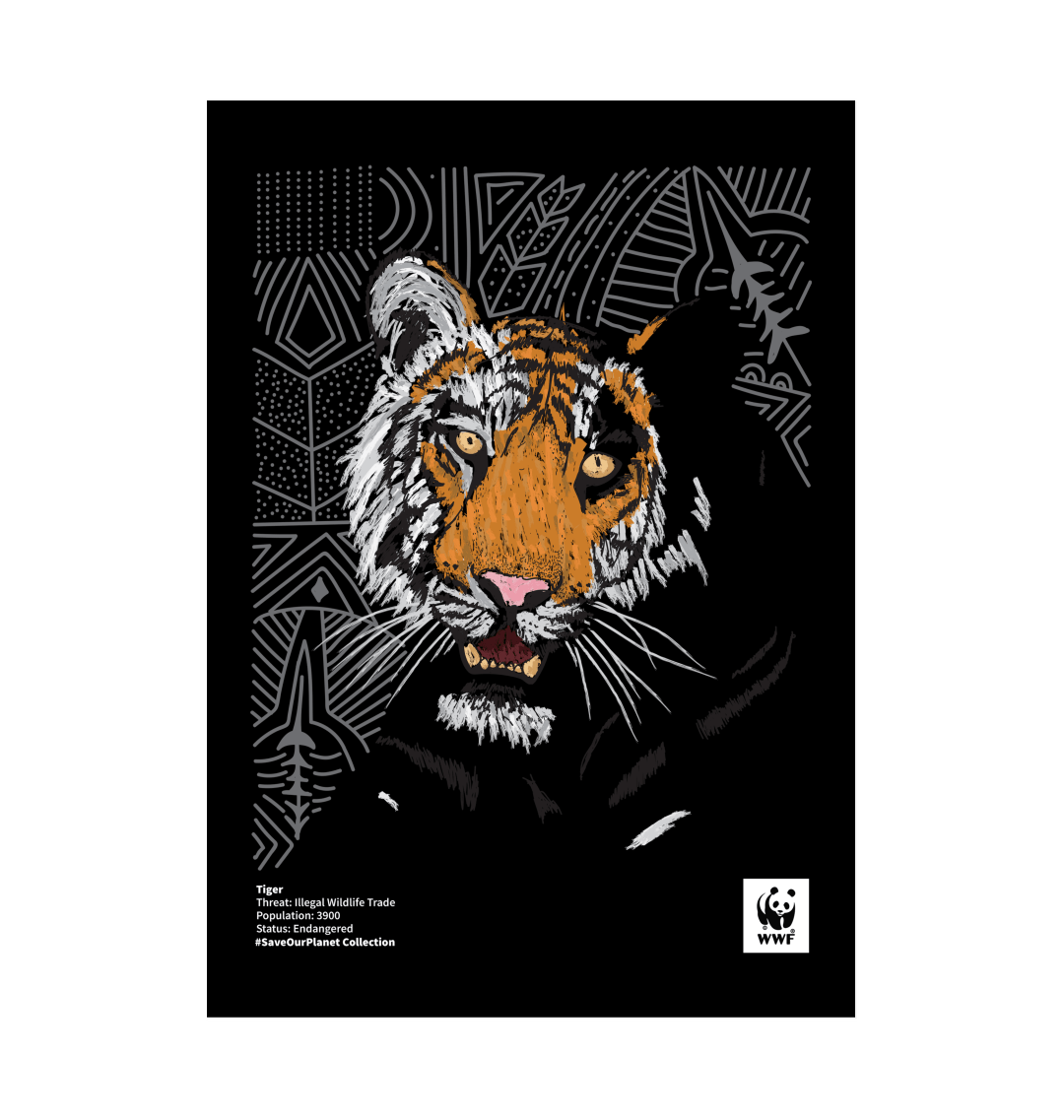 Fading Tiger Art Print