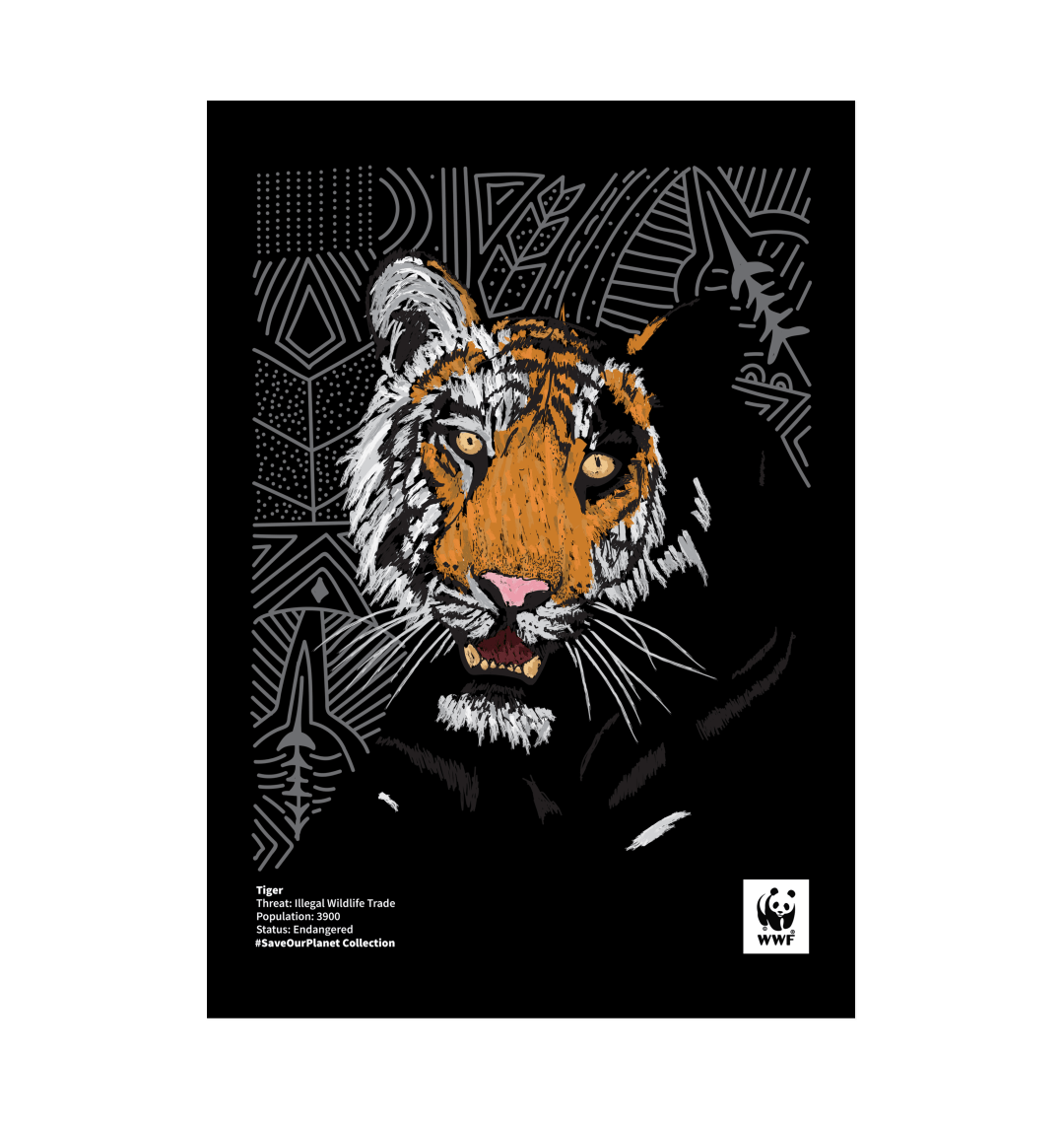 Fading Tiger Art Print Fading Tiger Art Print