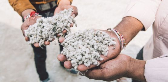 Close up of hands holding the organic cotton that's part of Teemill's circular supply chain.