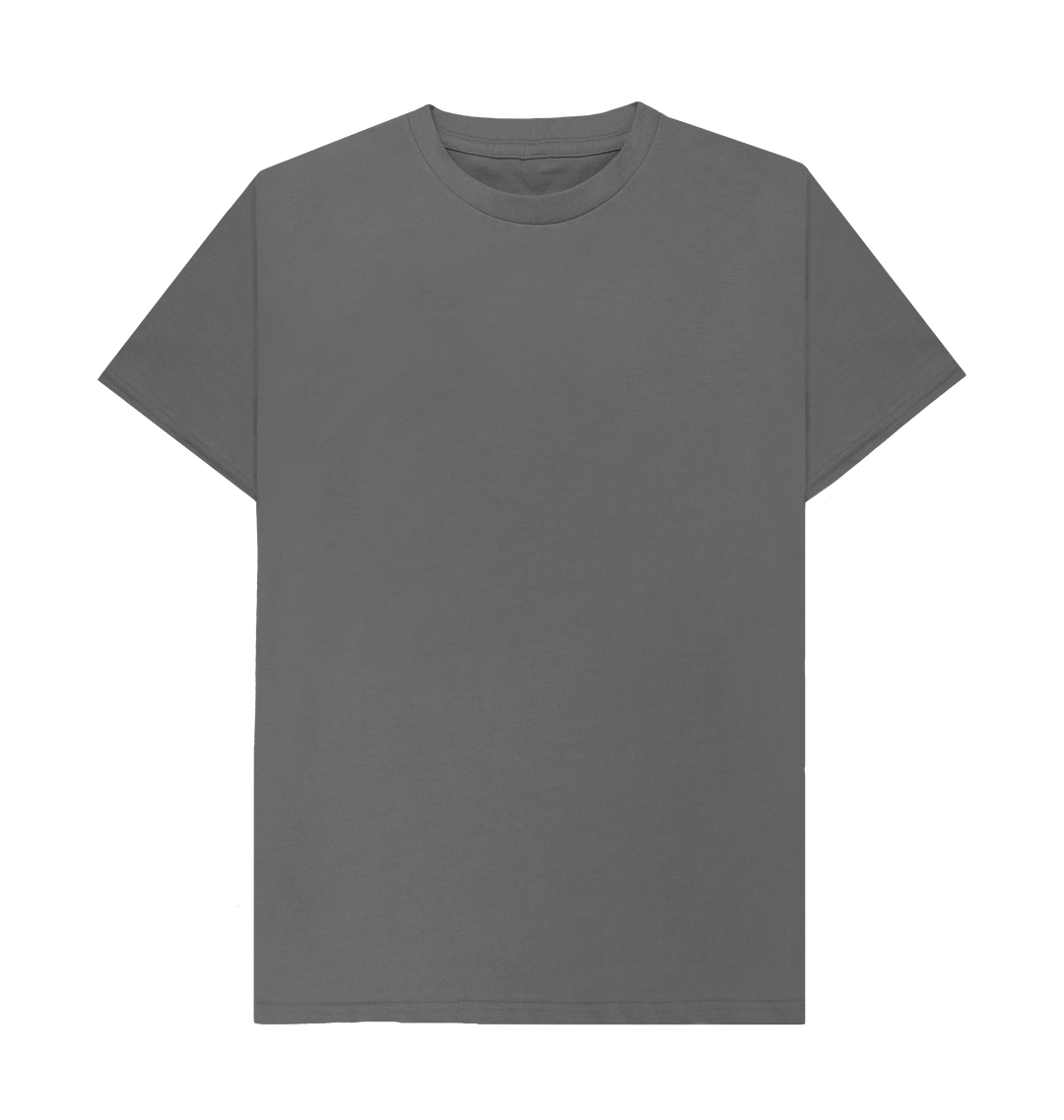 gray shirt plain