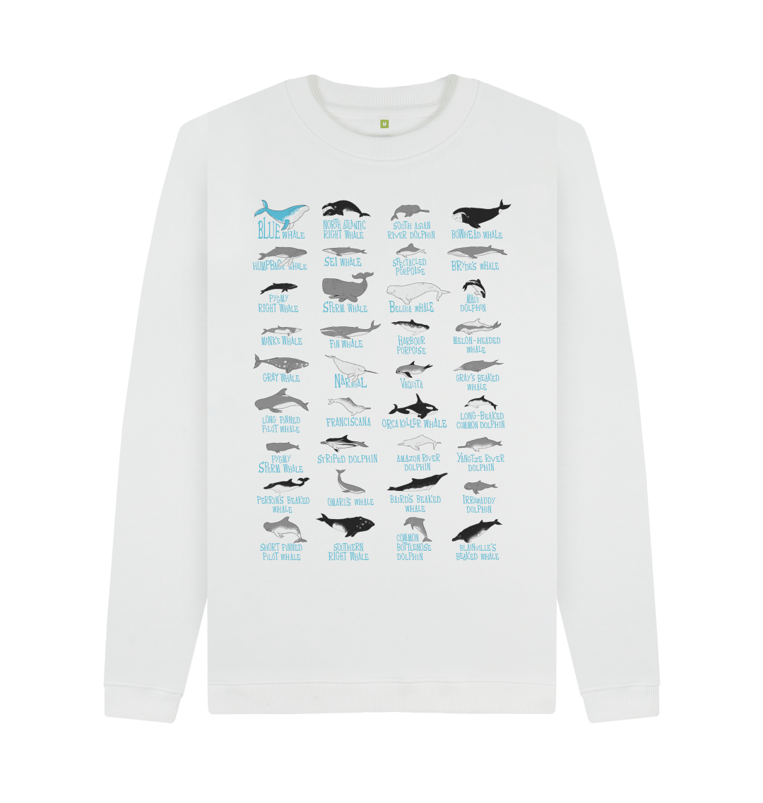 Dolphins sweater cheap