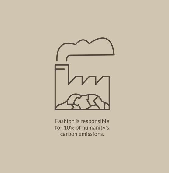 Threadfin┃Sustainability Premium Organic Lifestyle and Surf Clothing