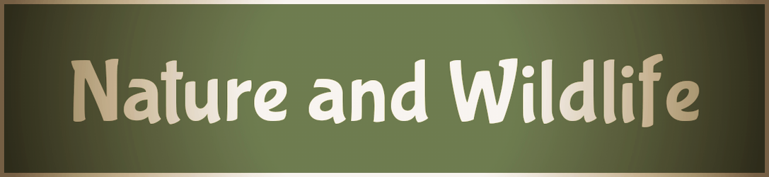 Nature and Wildlife