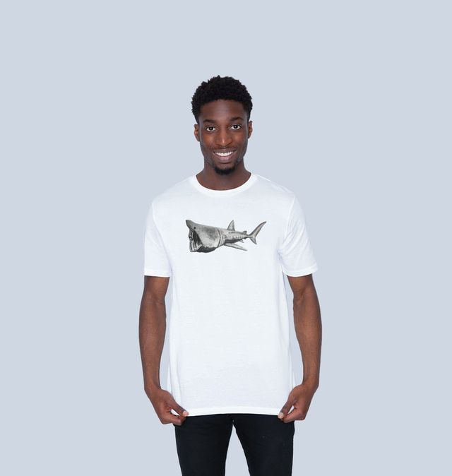 San Tiger Shark Mandalay Aquarium Las Vegas T-Shirt, Mens Size 2XL