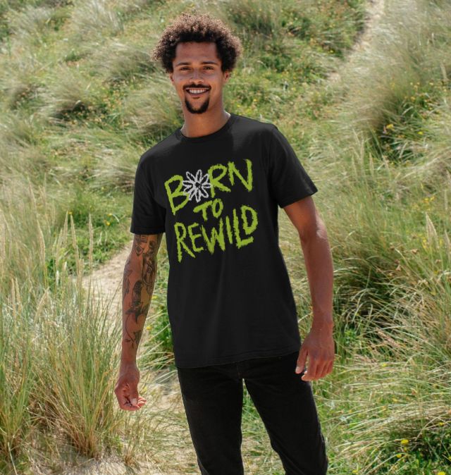 Rapanui 2024 t shirts