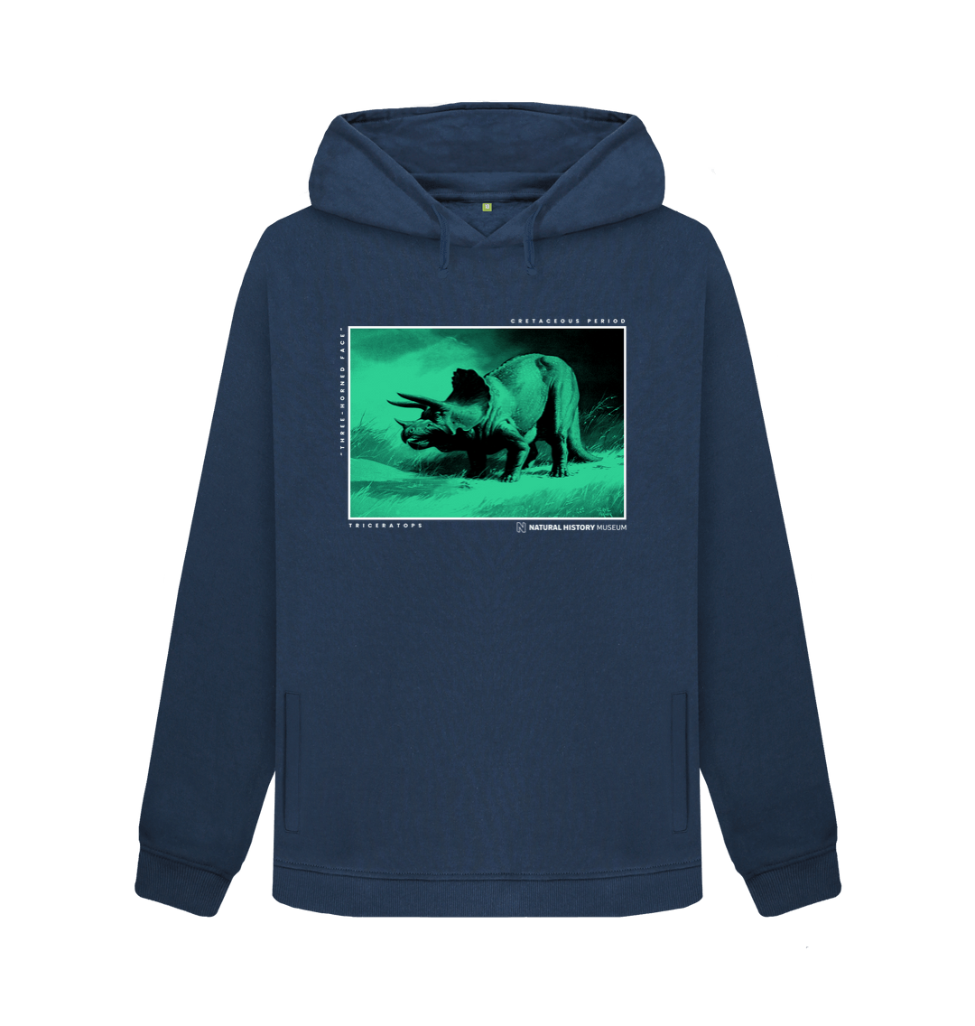 Next dinosaur online hoodie