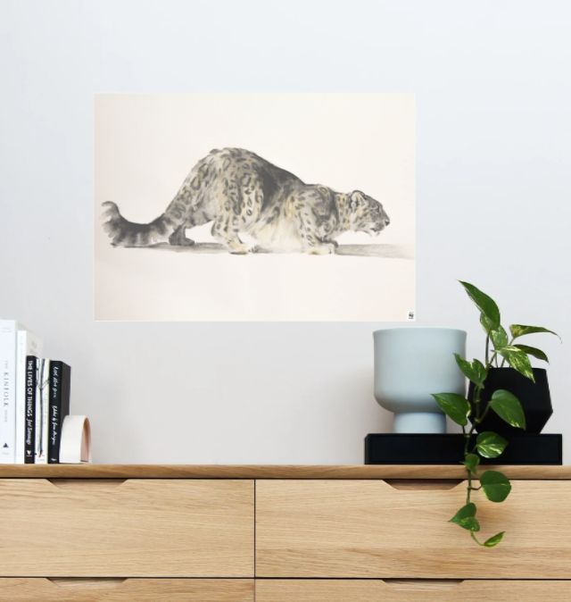 snow leopard clothing