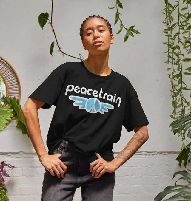 Peace Train by Cat Stevens Lyrics: Journey to Harmony