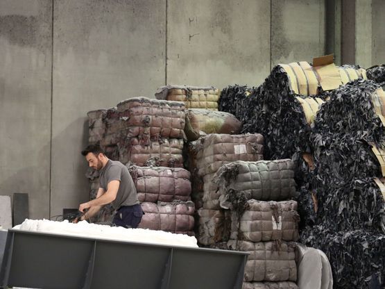 Man working with organic cotton in a factory that produces materials for Teemill's circular supply chain t-shirts.