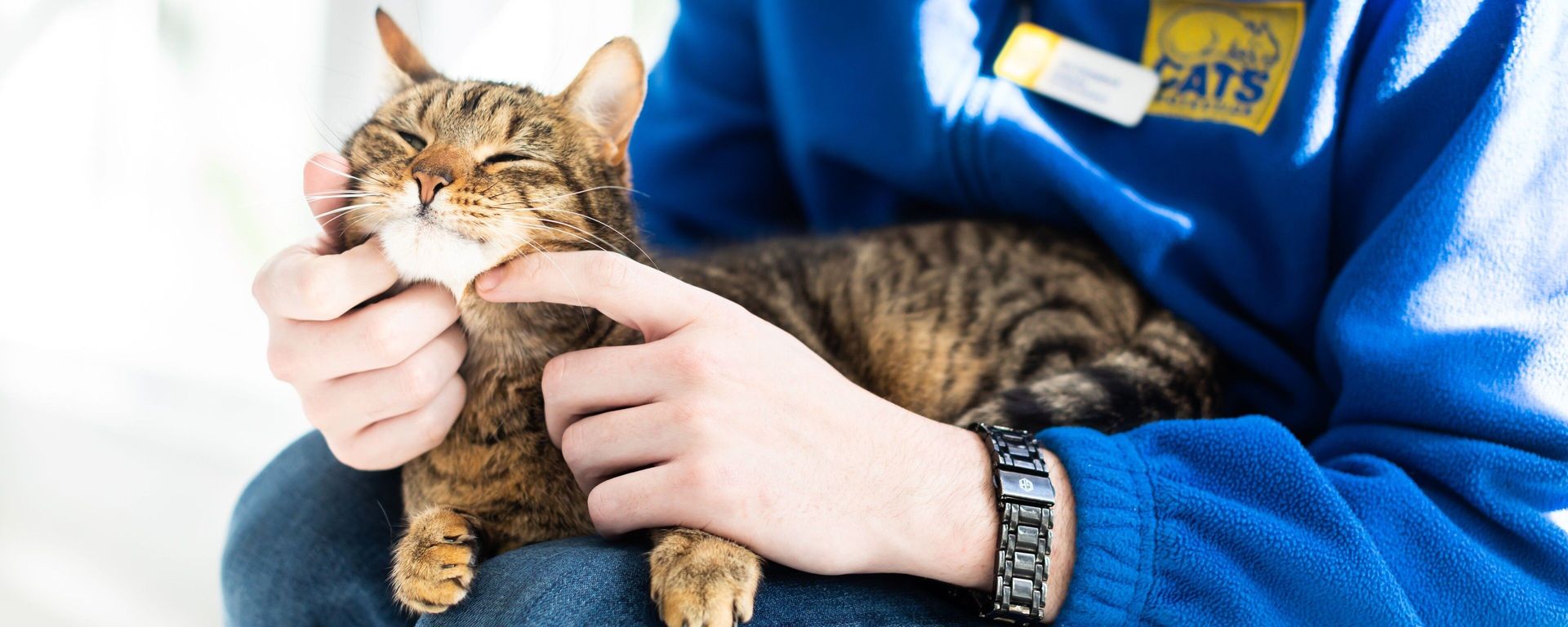 Cats Protection Official Store | Cat T-shirts