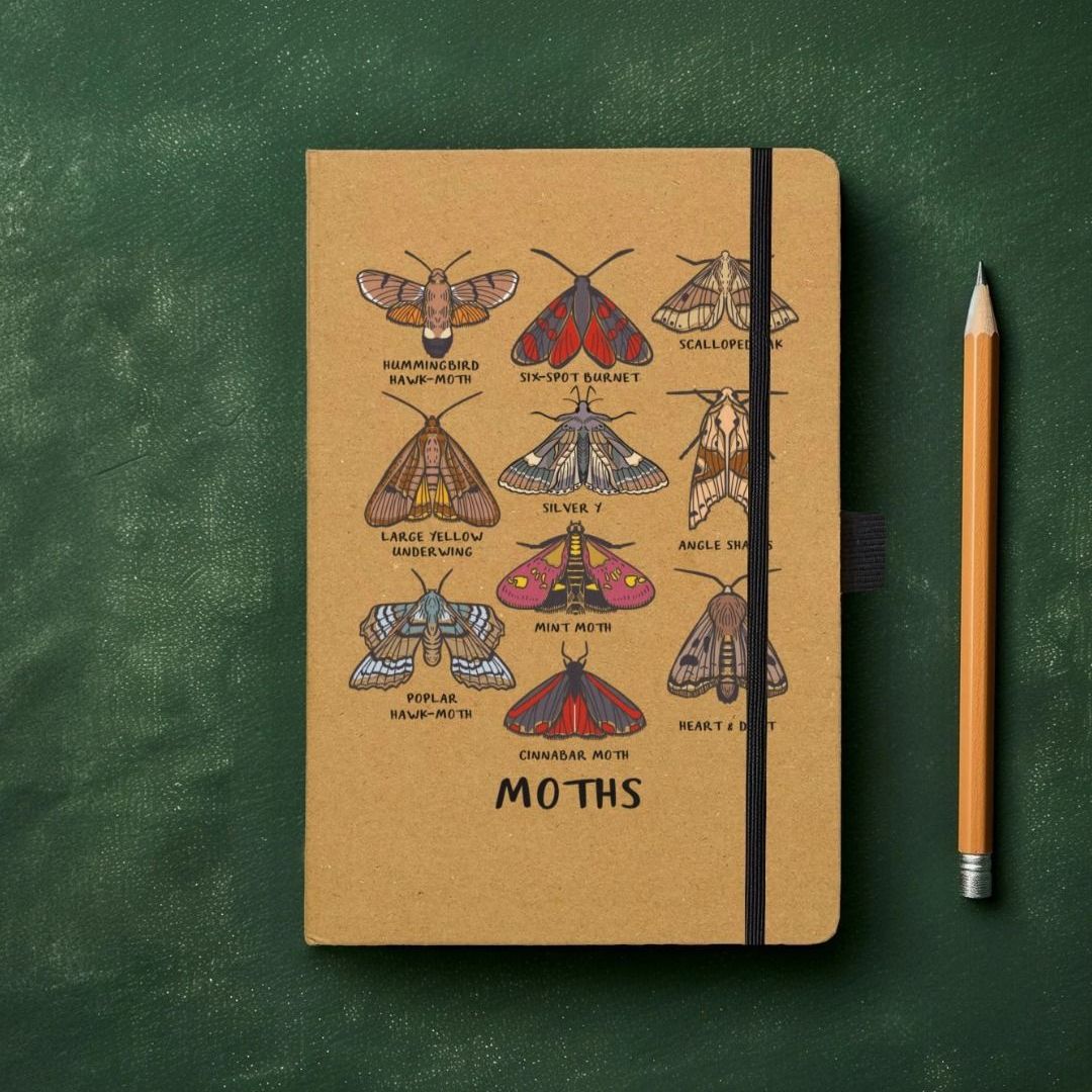 Moth Notebook Moth Notebook