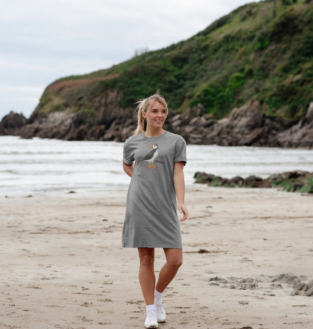 Holiday t deals shirt dress