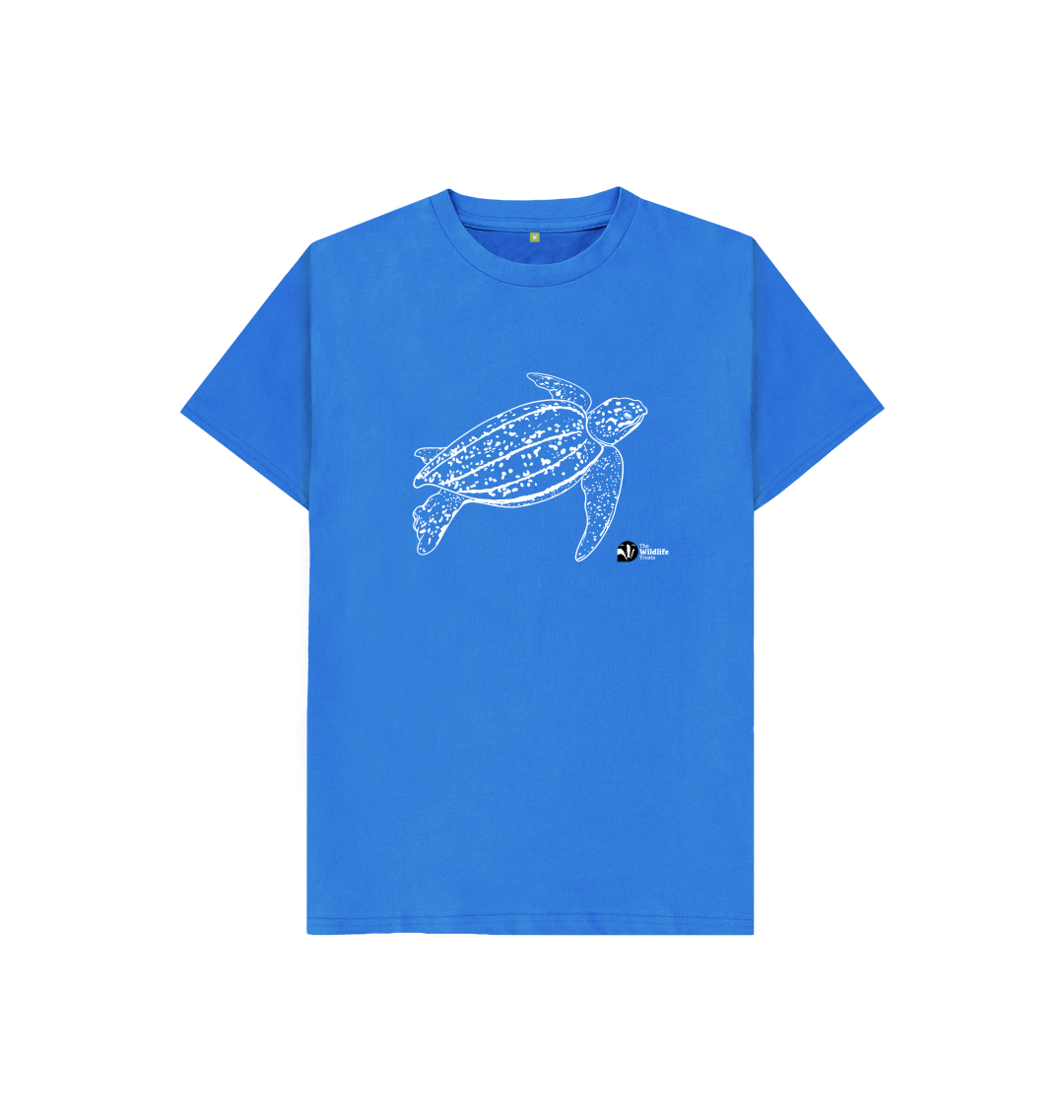 Youth-Woodland Box Turtle T-Shirt — Blue Ridge Wildlife Center