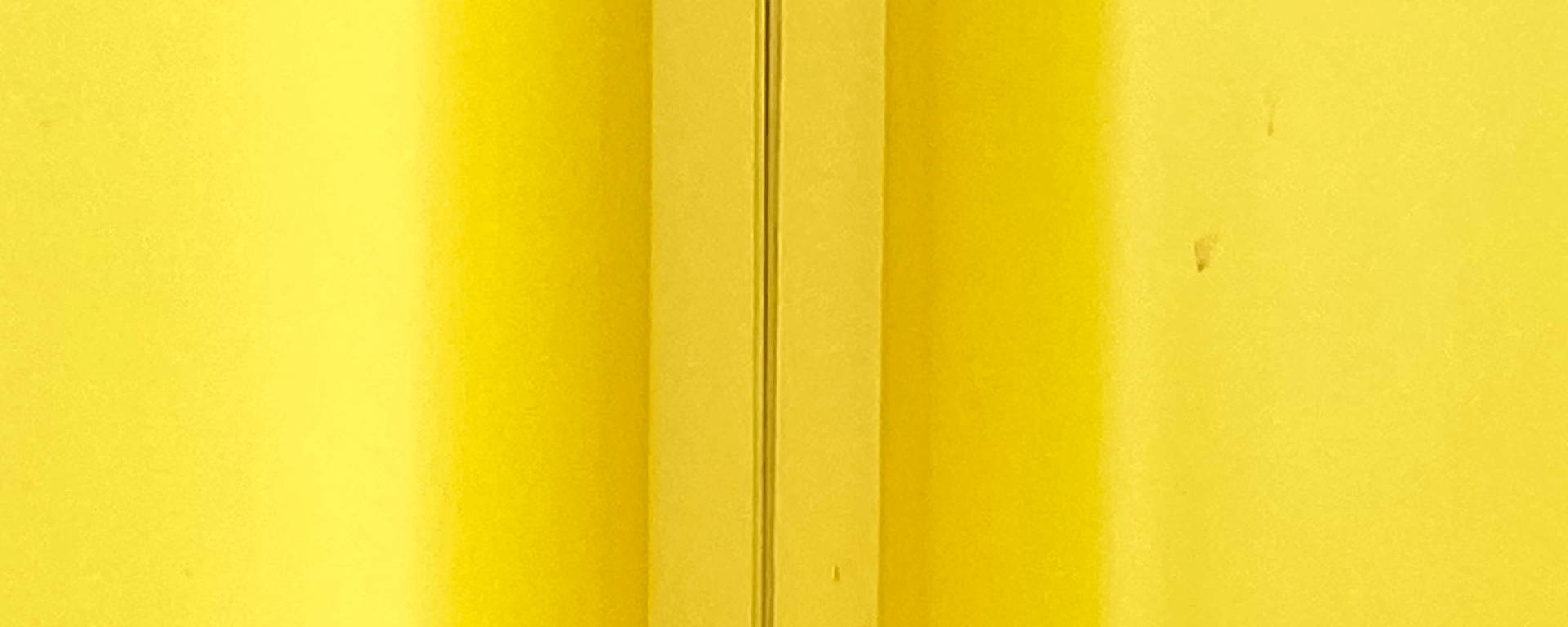 Branded + Moniker reviews over our classic yellow banner background we shot outside in Hackney.
