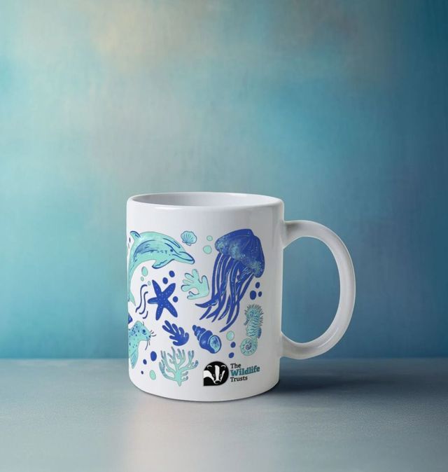 Ocean Sea Creatures Classic Mug  Save The Oceans Mug – Connected