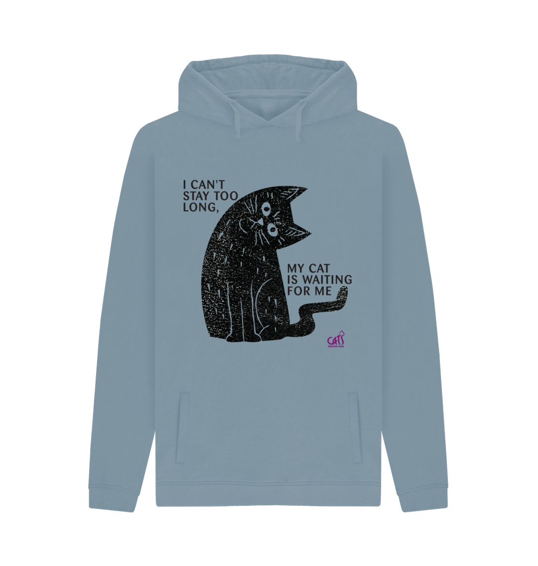 I am a cat hoodie sale