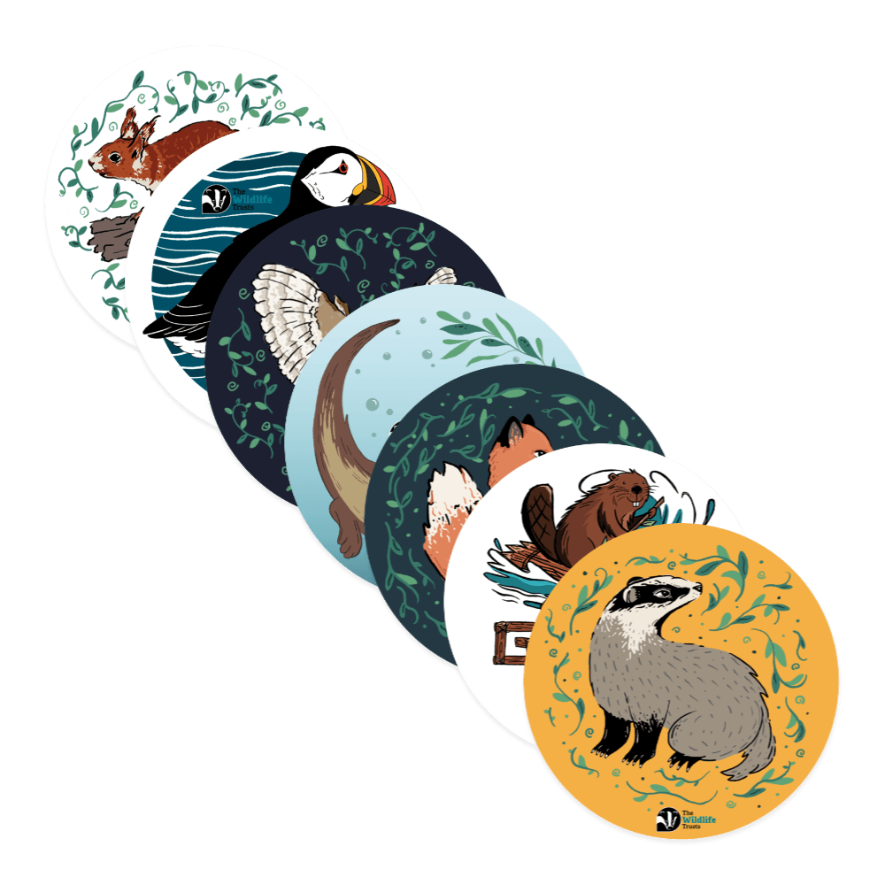 the-wildlife-trusts-sticker-pack-the-wildlife-trusts-store