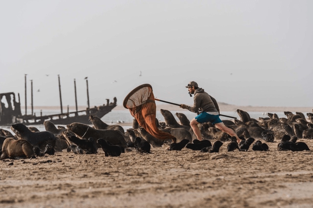 Ocean Conservation Namibia