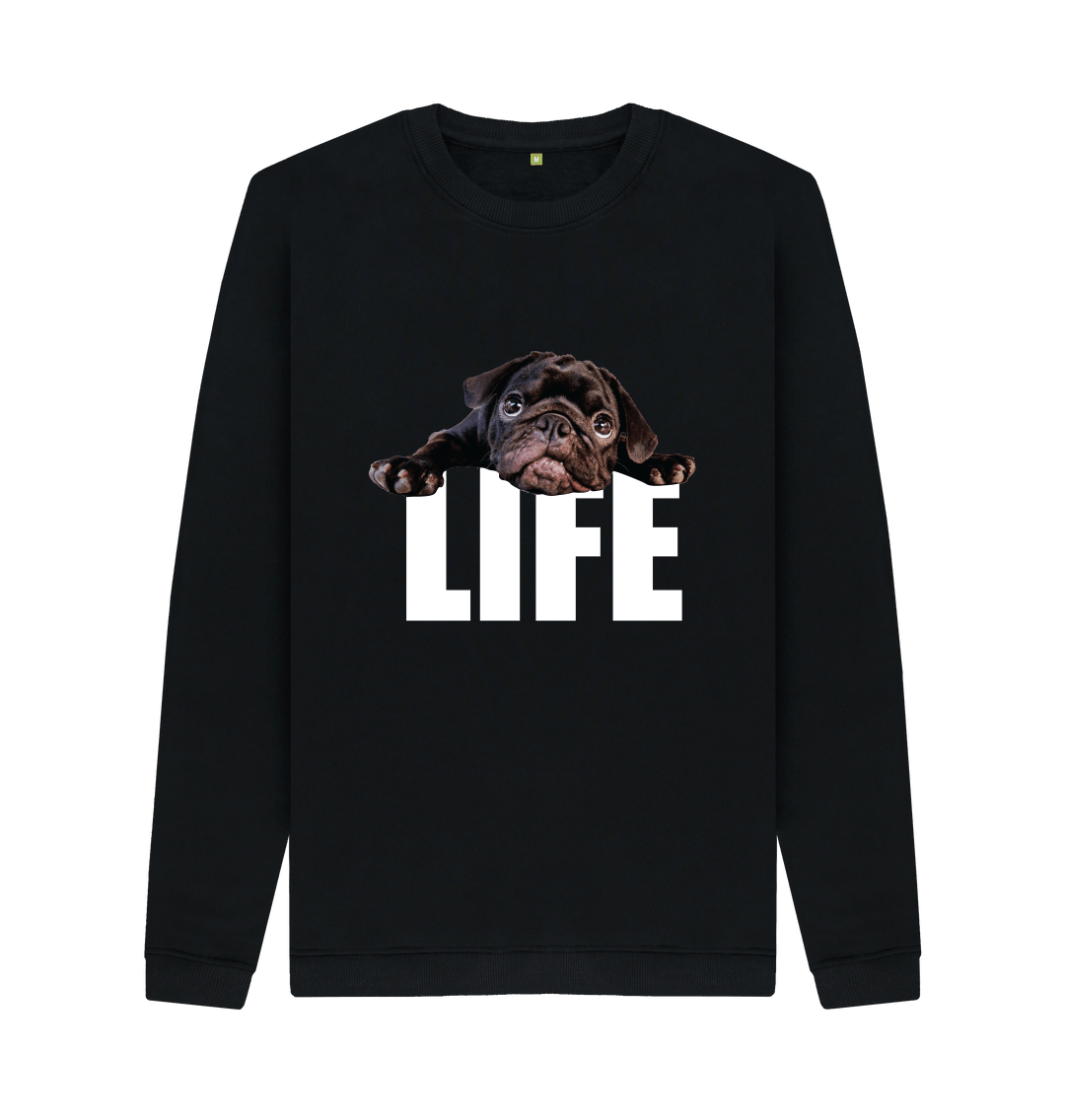 Jumper for pug best sale