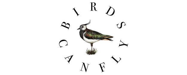 Birds Can Fly