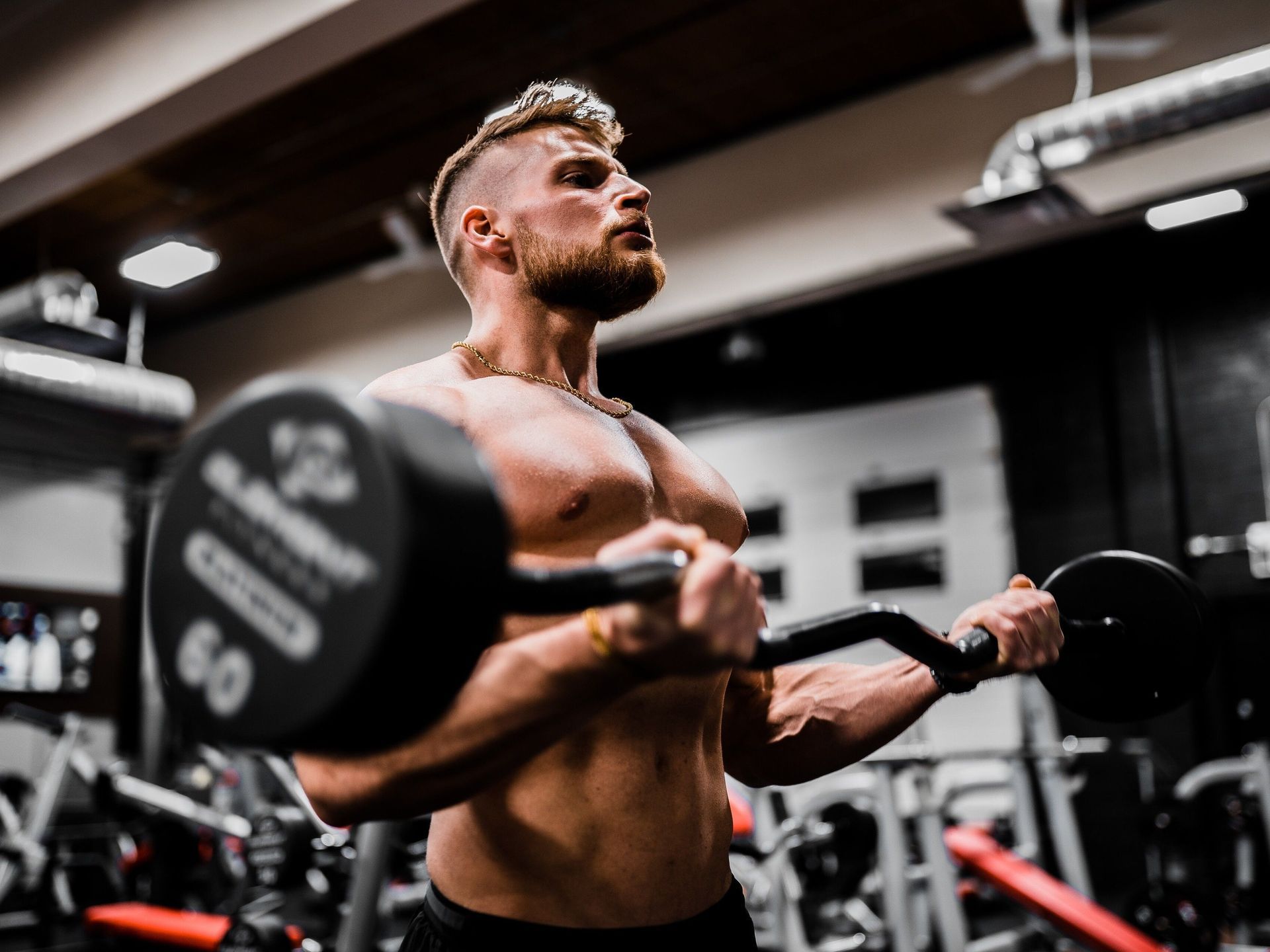 The back and biceps – a dynamic duo🦾 These two muscle groups work