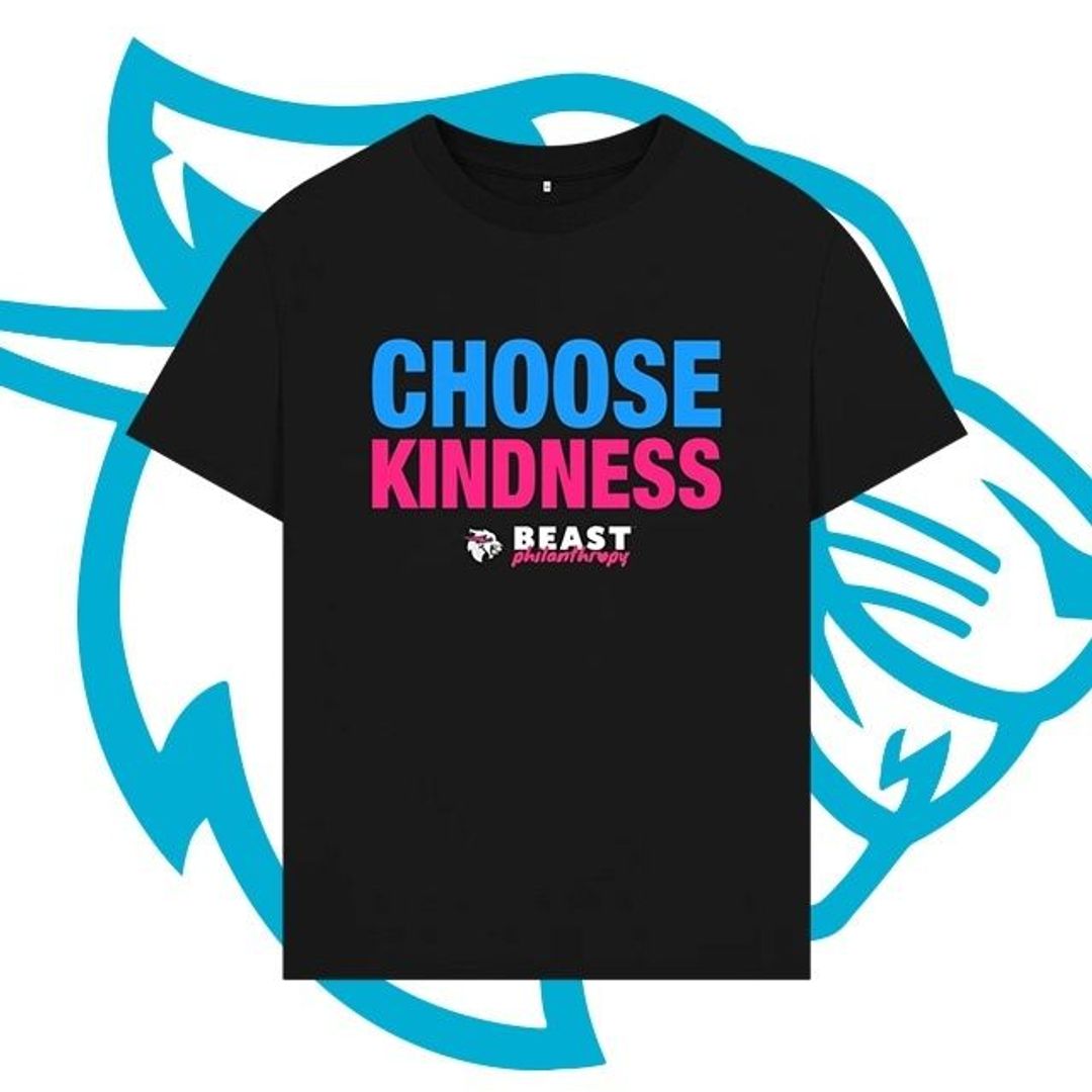 choose kind shirt