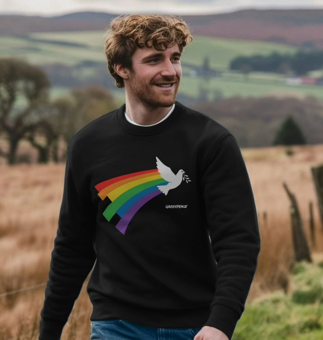 Rainbow sweatshirt on sale