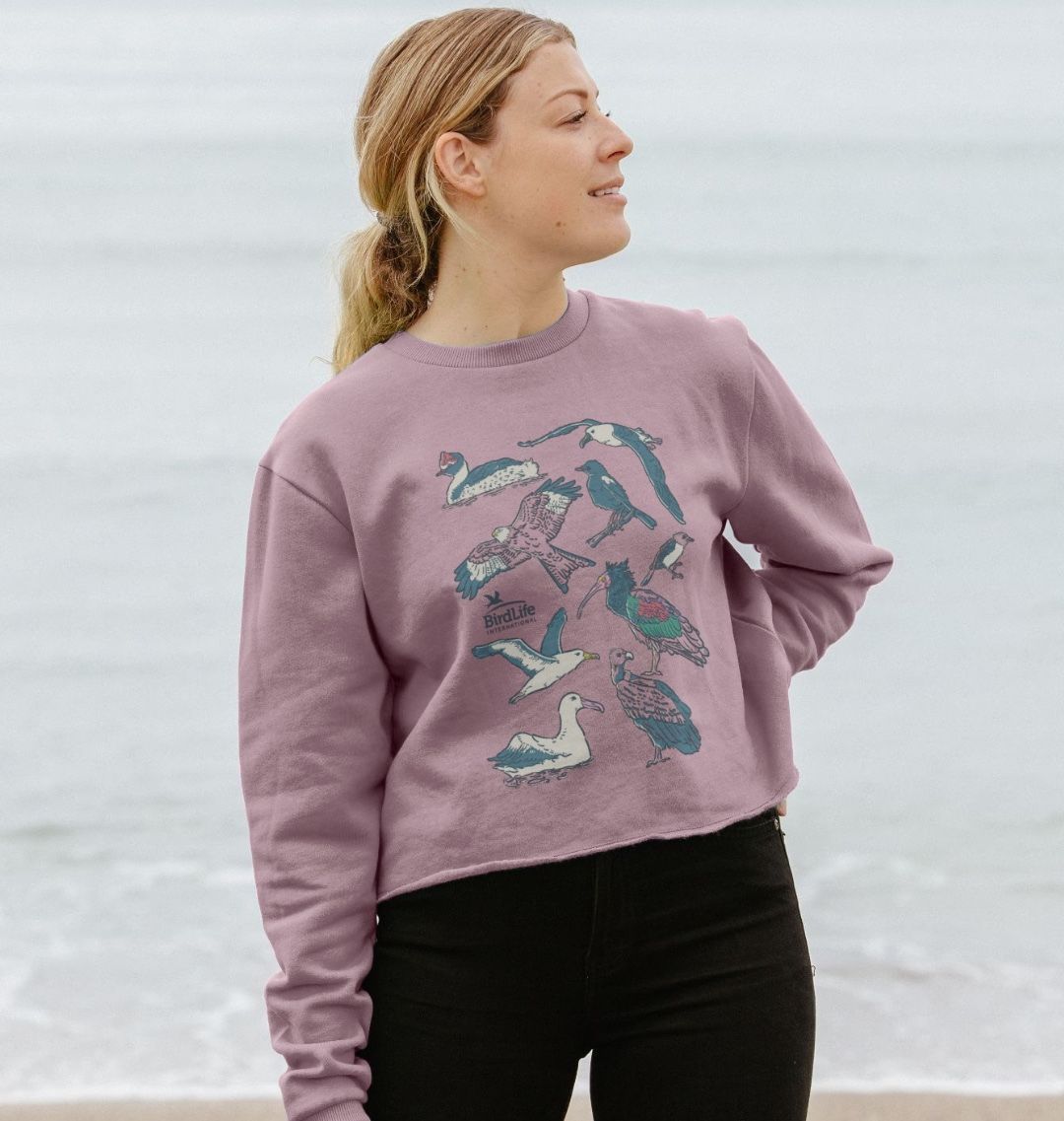 Bdg y2k dragon sales crew neck sweatshirt